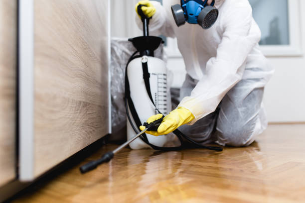 Best Affordable Pest Control Services  in South Hooksett, NH