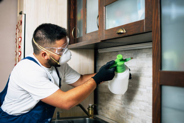 Best Residential Pest Control  in South Hooksett, NH