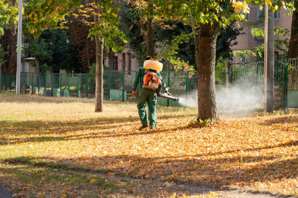 Best Pest Control Treatment  in South Hooksett, NH