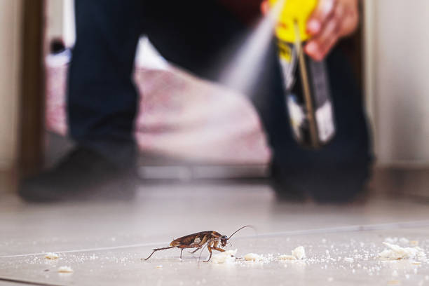Best Cockroach Control Services  in South Hooksett, NH